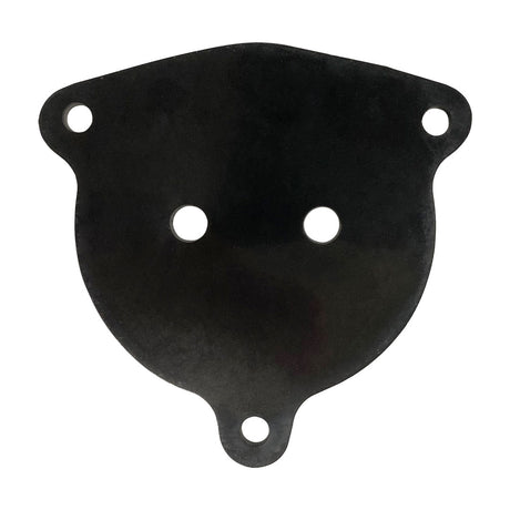 Purex (P-11250) Valve Gasket | G-76-BAGGED