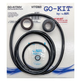 Aladdin GO-KIT for Pentair Sta-Rite Max-E-ProXF | GO-KIT95V