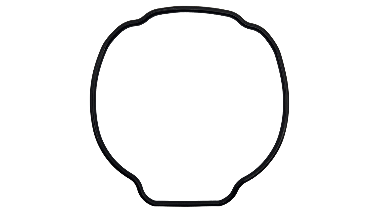 Hayward (SPX3200T) Housing O-Ring EcoStar/TriStar || O-529-BAGGED