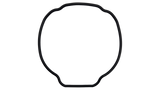 Hayward (SPX3200T) Housing O-Ring EcoStar/TriStar || O-529-BAGGED