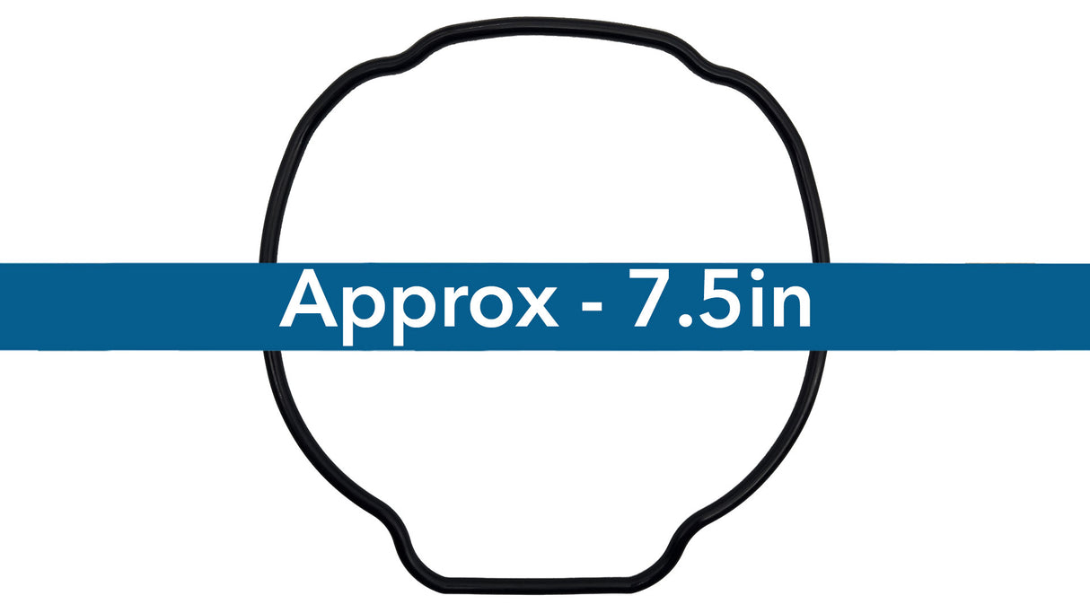 Hayward TriStar VS 900/950 Omni Pump Housing O-ring || SPX3200T