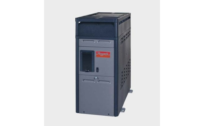 Raypak digital natural gas pool heater in gray and black cabinet, front view.