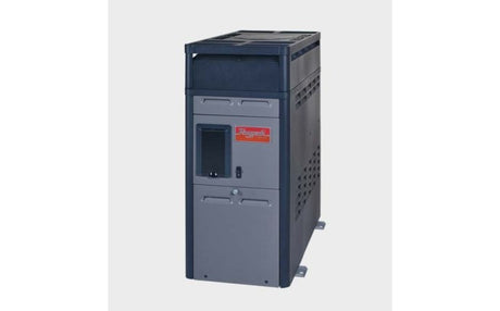 Raypak digital natural gas pool heater in gray and black cabinet, front view.