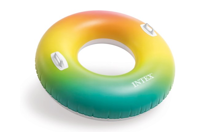 Intex Rainbow Ombre Swim Tube 48" | ITX-90-4610