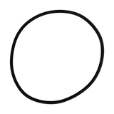 Swimquip (24751-5) DEP-51, HPR30 30" Tank O-Ring || O-105-BAGGED