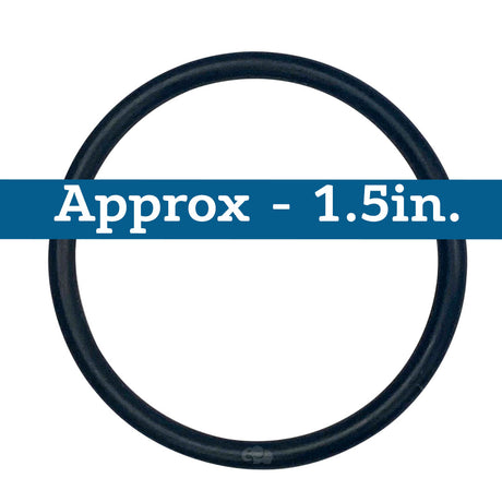 Hayward (SPX1022CZ2) Seal Plug O-Ring | O-125-BAGGED