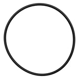 Jandy (R0446200) Lid O-Ring | O-142-BAGGED