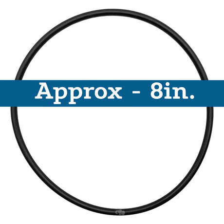 Jandy (R0446200) Lid O-Ring | O-142-BAGGED