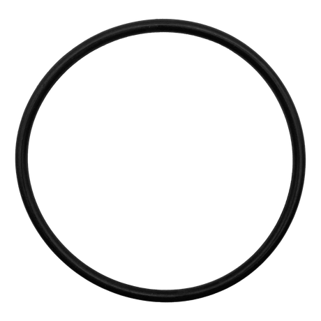 Black rubber lid O-ring gasket on white background
