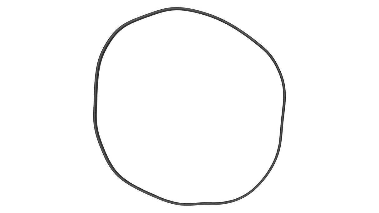 O-199-Bagged Gasket - Aladdin