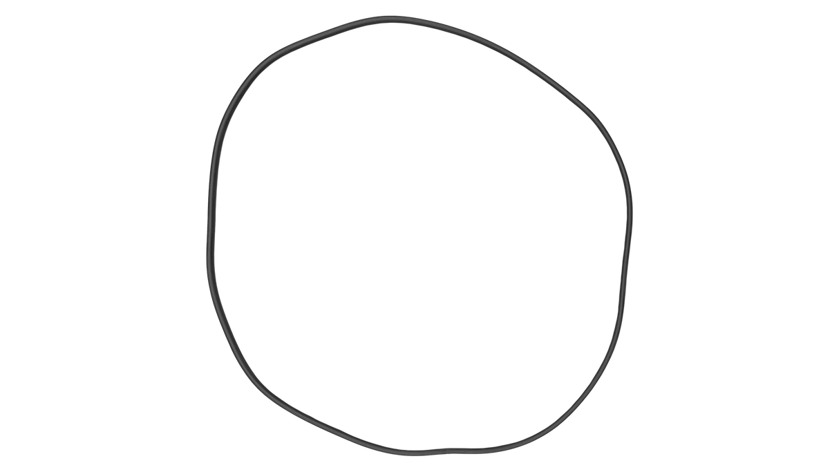 O-199-Bagged Gasket - Aladdin