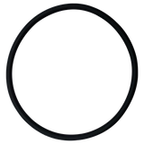 American (392041) Eagle Pump Olympian T/M Filter Lid O-Ring || O-218-BAGGED