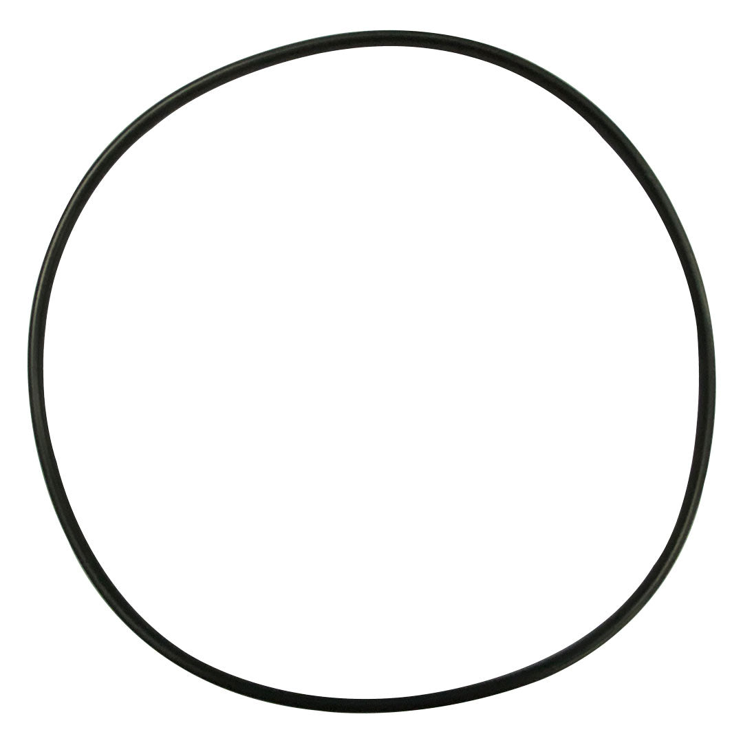 Jandy (R0338700) HHP/HHPU Body O-Ring | O-229-BAGGED