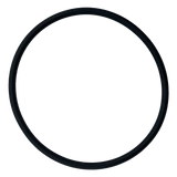 Hayward (DEX2400Z5) Outlet Elbow O-Ring/Micro Clear/Swim Clear | O-24-BAGGED