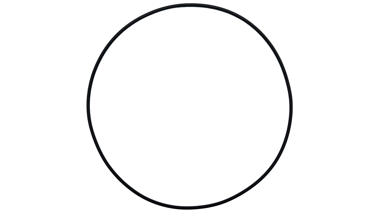 O-251-Bagged Gasket - Aladdin
