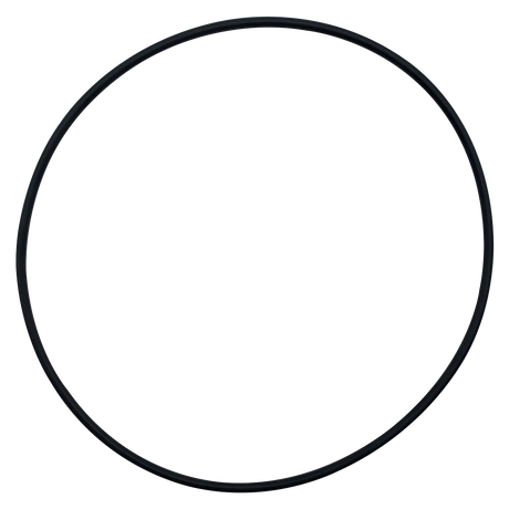 Black rubber O-ring gasket on white background
