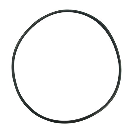 Black rubber cover O-ring seal on white background
