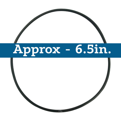 Hayward (SPX0715Z1) 2" Multiport Valve Lid O-Ring | O-277-BAGGED