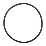 Jandy (2614) Energy Filter Bowl O-Ring || O-281-BAGGED