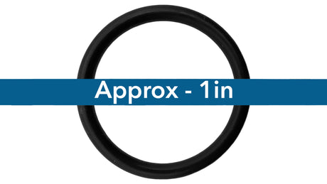 Anthony New Style Piston O-Ring || O-282-BAGGED