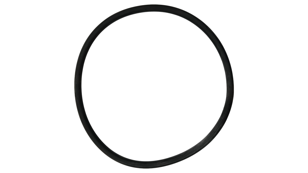 Swimrite (28-828-689) Marathon Filter O-Ring || O-289-BAGGED