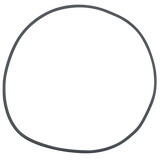 Anthony (17433) 18" Tank O-Ring || O-293-BAGGED