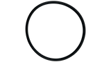 Pentair (350013) Pot Flange O-Ring EQ Series || O-318-BAGGED