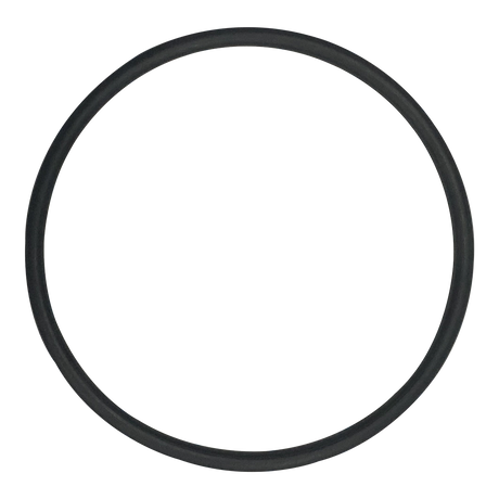 Black rubber O-ring on lined paper background