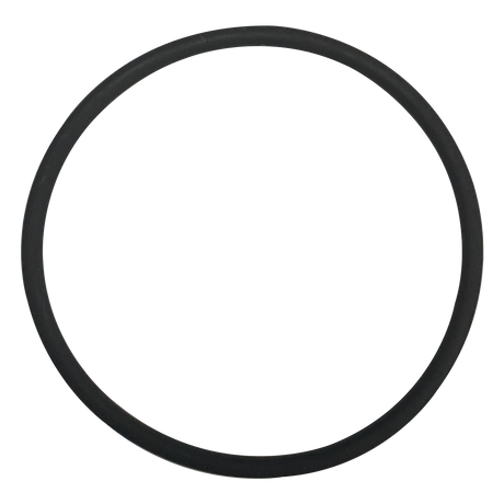 Black Viton O-ring seal for Advance chlorinator, shown on lined paper.