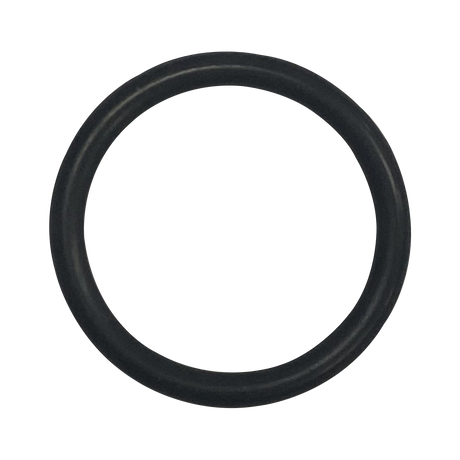 Black Viton O-ring seal gasket for Titan CM lid and Quantum CM filter