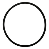 Fischer-Porter (101W718U01) Chlorinator Viton O-Ring || O-357V-BAGGED