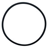 Fischer-Porter (101W816U01) Chlorinator O-Ring || O-359-BAGGED