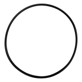Hayward (SPX0710XZ5) Matrix Housing O-Ring || O-368-BAGGED