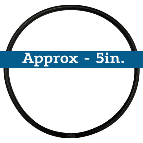 Premier (25-311) Pump Lid O-Ring | O-378-BAGGED