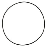 Polaris (P-85) Seal Plate O-Ring || O-393-BAGGED