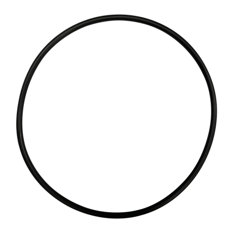 Black rubber O-ring seal gasket on white background