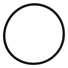 Pentair Upper Bulkhead O-Ring