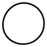 Pentair Upper Bulkhead O-Ring