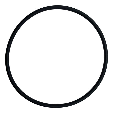 Black rubber O-ring gasket for Pentair 2-inch DE and cartridge filters