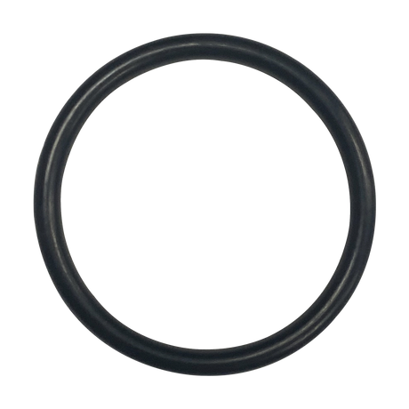 Black rubber O-ring gasket on a light background
