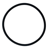 Jacuzzi (47-0233-04-R) H4 Booster O-Ring | O-421-BAGGED