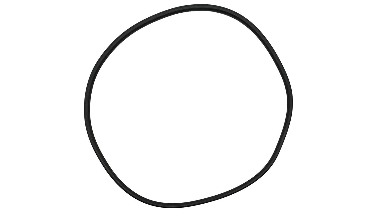 Hayward (DEX2400K) C3000, C4000 Microclear Vertical Pro Grid Tank O-Ring | O-429-BAGGED