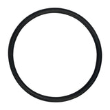 Hayward (SPX1438H) Pro Jet O-Ring || O-441-BAGGED