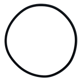 Sta-Rite (U9-301) Posi-Flo Top O-Ring || O-443-BAGGED