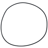 Doughboy (308-1114) Silica II Tank O-Ring || O-452-BAGGED