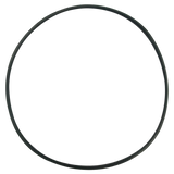 American (59021000) Quantum CM/Titan CM Tank O-Ring || O-498-BAGGED