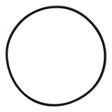 Jandy (R0446300) SHPF/SHPM Stealth Pump Back Plate O-Ring || O-521-BAGGED