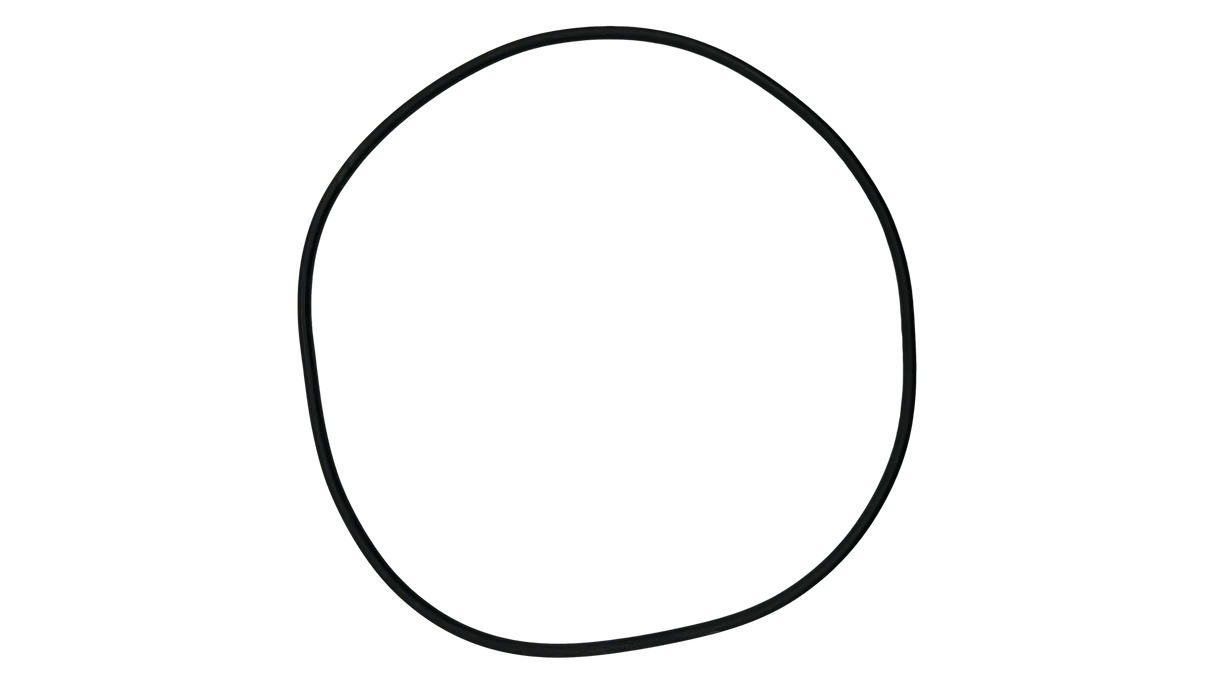 O-527-Bagged Gasket - Aladdin