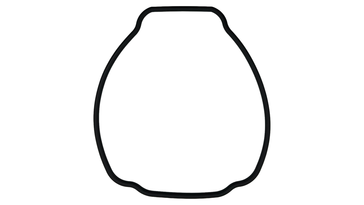 Hayward (SPX3200T) Housing O-Ring EcoStar/TriStar || O-529-BAGGED