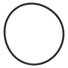 IntelliFloXF/WhisperFloXF VSF/VS Pump Seal Plate O-Ring || 351446